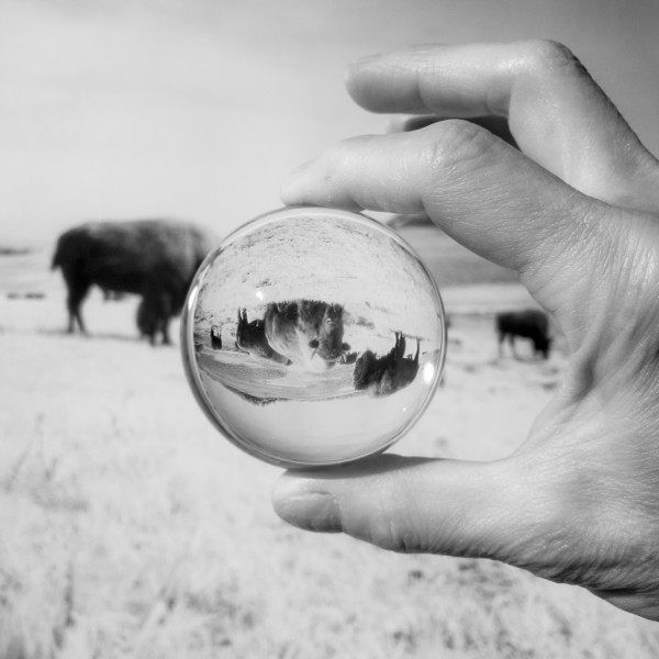 29:365:2018 Upside Down elena bouvier