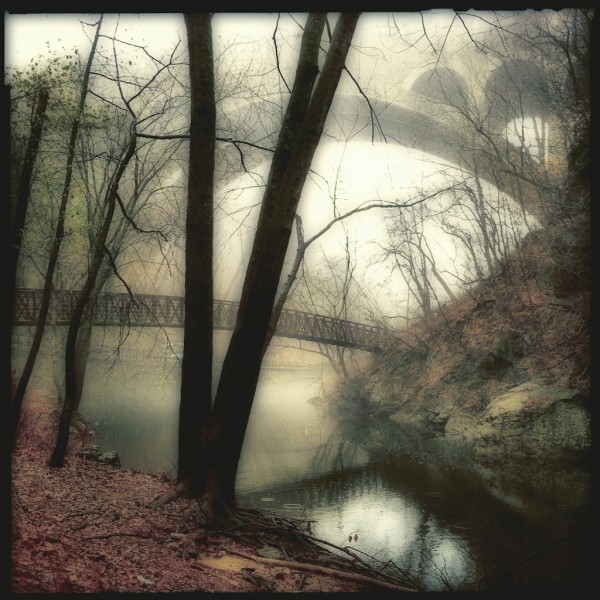 The Crossing by Elena Bouvier