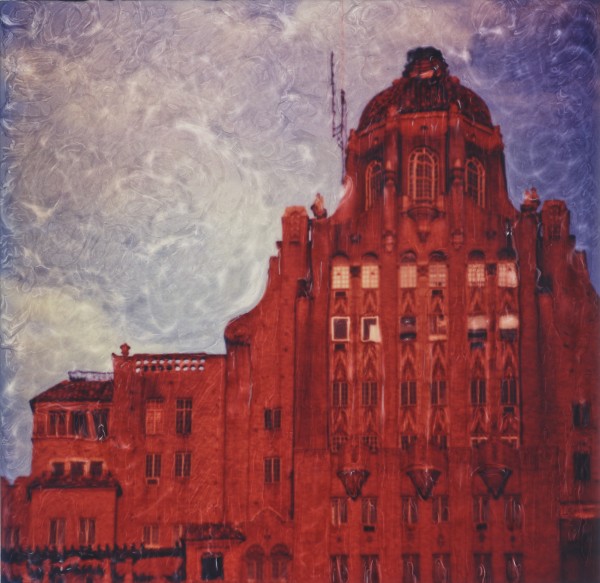 The Drake by Elena Bouvier